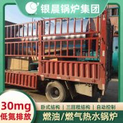 0.3噸液化氣蒸汽鍋爐太康縣銀晨鍋爐廠