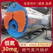 0.2噸冷凝蒸汽鍋爐銀晨鍋爐廠
