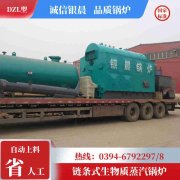 十噸燃?xì)忮仩t價格