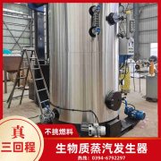 6噸的燃?xì)忮仩t