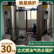 2噸燃氣蒸汽鍋爐價格