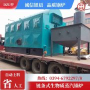六噸燃?xì)庹羝仩t