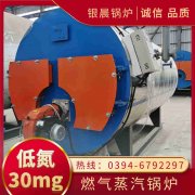 小型燃氣蒸汽鍋爐
