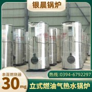 燃氣鍋爐供蒸汽