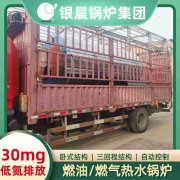 6噸燃?xì)忮仩t參數(shù)
