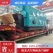 別墅用燃?xì)忮仩t
