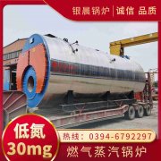 立式燃?xì)庹羝仩t價(jià)格
