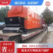 鋼制燃?xì)忮仩t