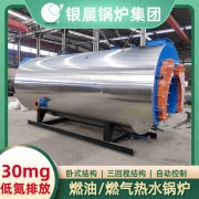 立式燃?xì)忮仩t廠家