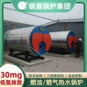 燃?xì)忮仩t和燃?xì)忮仩t