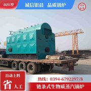 10t燃?xì)鉄崴仩t