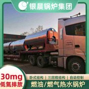 鍋爐1噸燃?xì)忮仩t