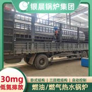 燃油燃氣蒸汽鍋爐
