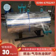 工業(yè)燃氣蒸汽鍋爐