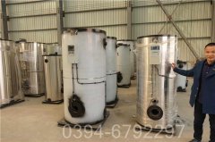 黑龍江2噸天然氣熱水鍋爐