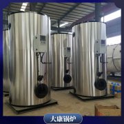 湖南100萬(wàn)大卡低氮熱水鍋爐