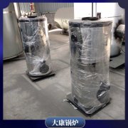 8噸立式燃?xì)庹羝仩t太康鍋爐
