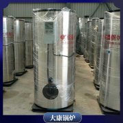 內(nèi)蒙古20t小型鍋爐