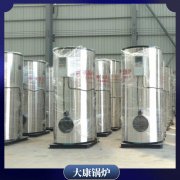 智能蒸汽鍋爐WNS4出口三十余個國家