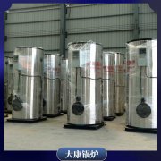 新疆1050kw低氮鍋爐