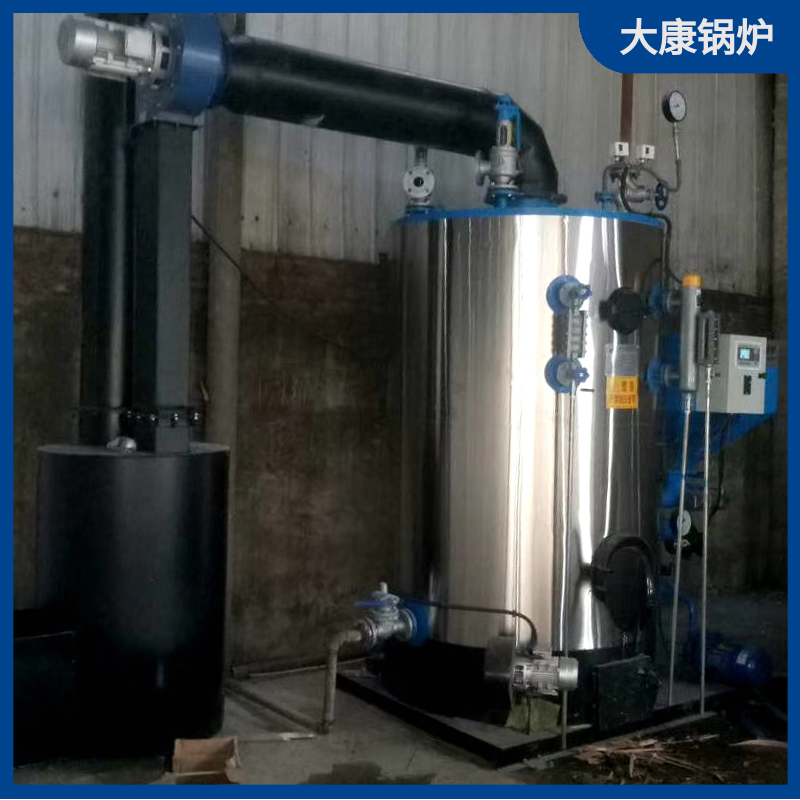 生物質(zhì)煤兩用鍋爐