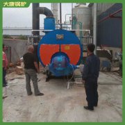上海10萬大卡低氮導(dǎo)油爐