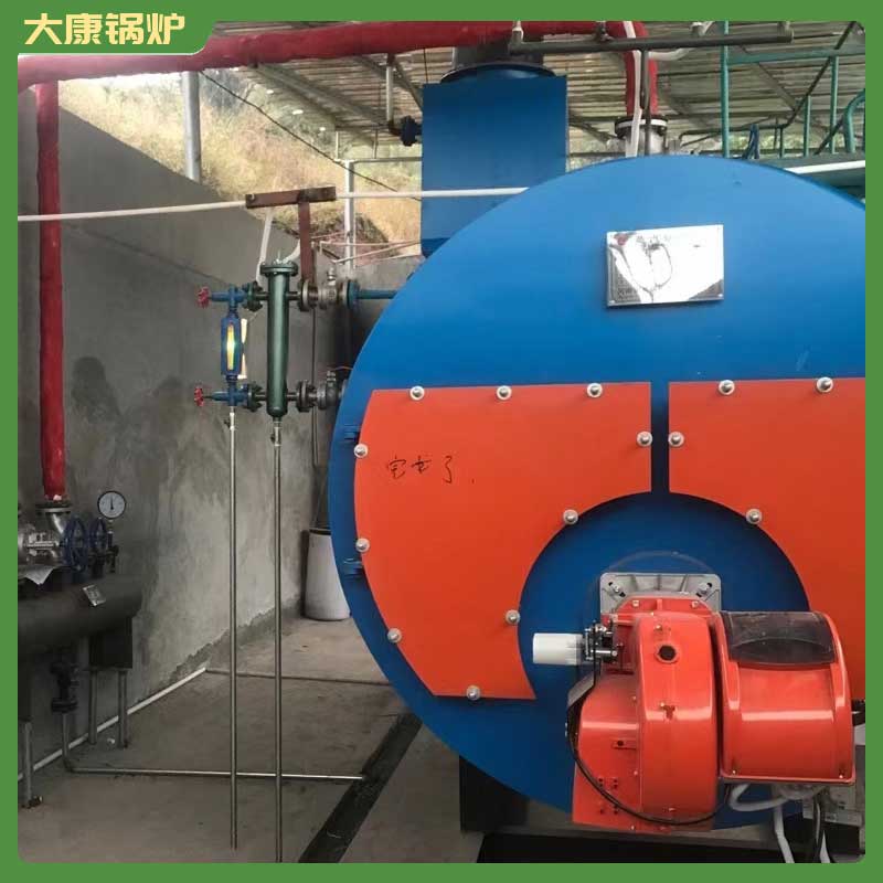 1噸燃氣導熱油鍋爐河南大康鍋爐有限公司工業(yè)鍋爐 電站鍋爐