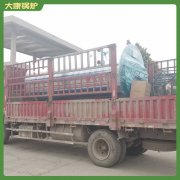 福建12t冷凝熱水鍋爐