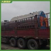 海南十五噸低氮導熱油爐