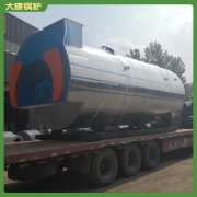 新疆二十噸低氮蒸汽鍋爐