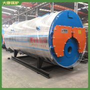 山東0.6mw真空熱水鍋爐