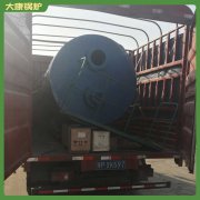 河北500萬(wàn)大卡冷凝導(dǎo)熱油爐