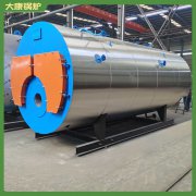 六噸蒸汽鍋爐價(jià)格10噸同行都在用