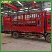 廣東400萬大卡低氮熱風(fēng)爐