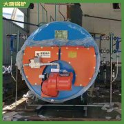 安徽15t低氮熱水鍋爐