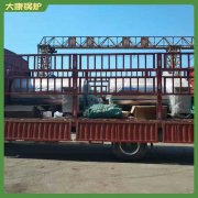 上海400萬大卡冷凝導熱油爐
