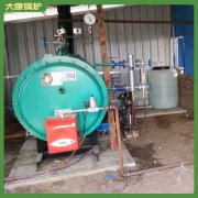 內(nèi)蒙古0.5t冷凝導油爐