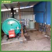 河南十噸蒸汽發(fā)生器