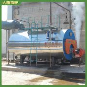 立式蒸汽鍋爐怎樣選擇WNS0.2同行業(yè)內(nèi)更領(lǐng)先的