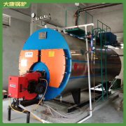 廣東7mw冷凝導油爐