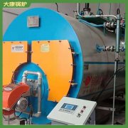 廣東十五噸低氮鍋爐