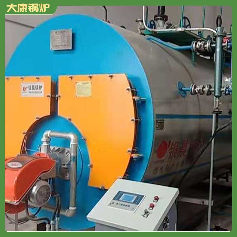 兩用兩噸生物質(zhì)鍋爐