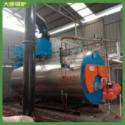 廣東1t冷凝蒸汽鍋爐